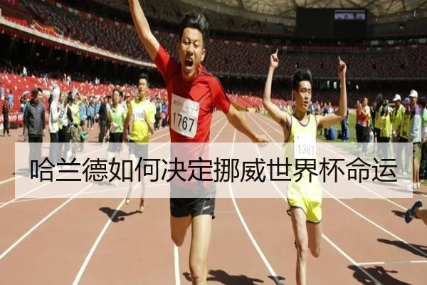 哈兰德如何决定挪威世界杯命运